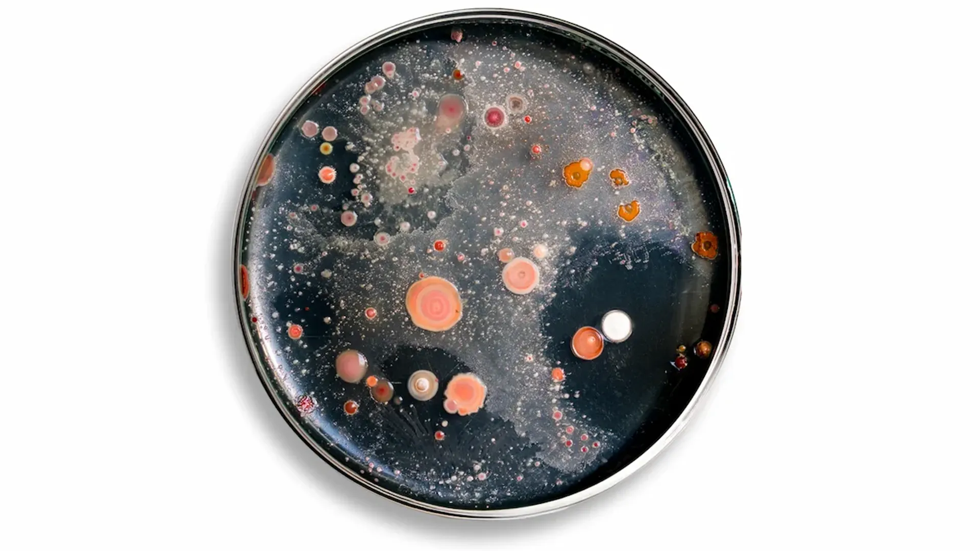 Biosolutions