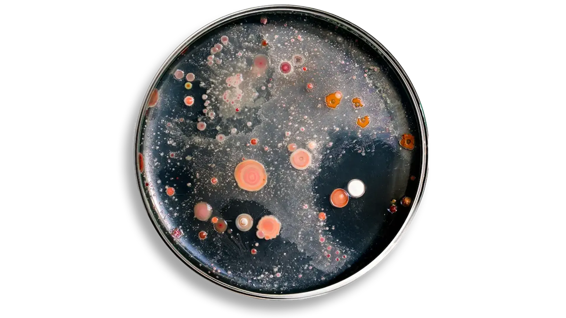 Biosolutions