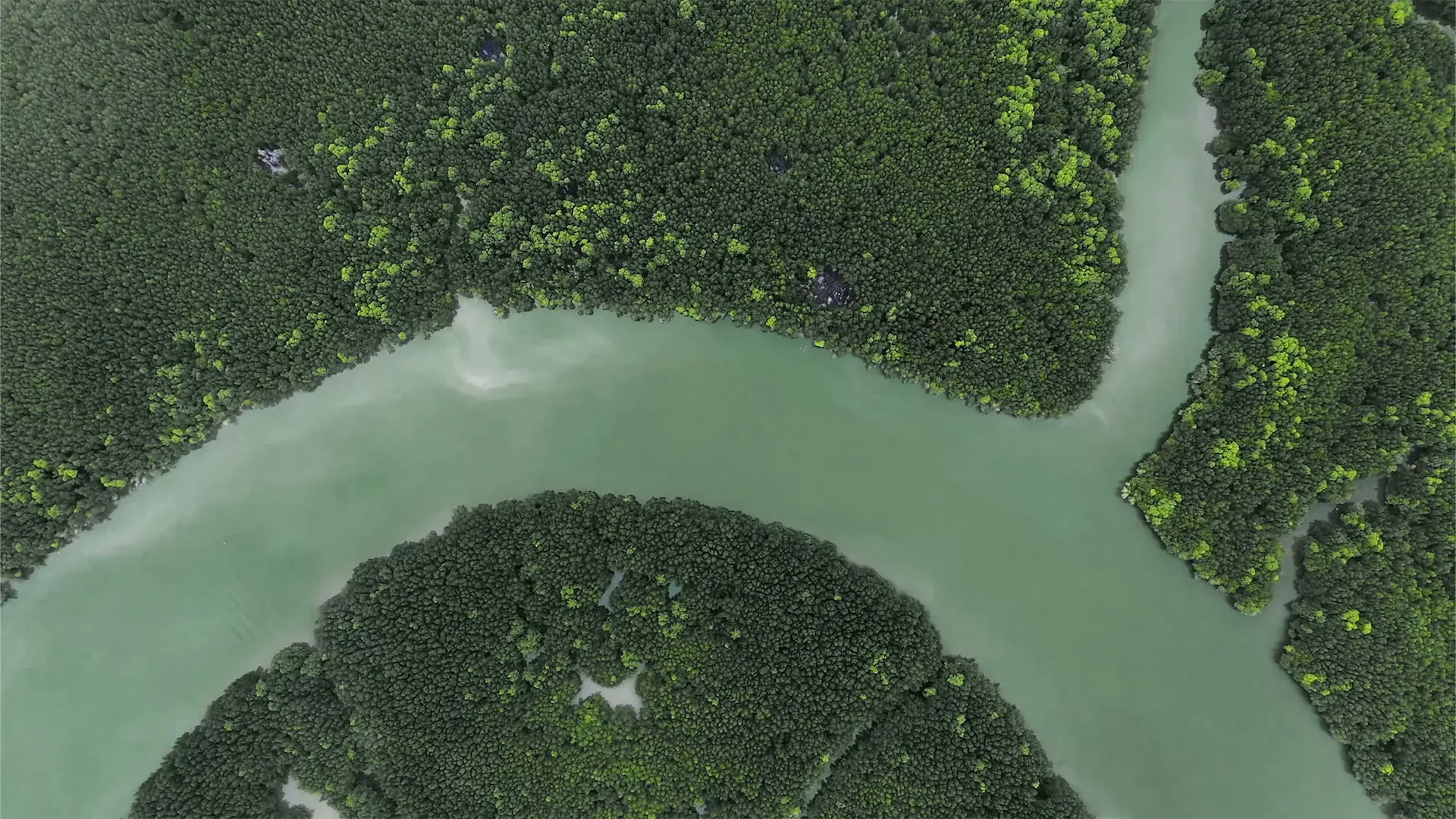 Media banner poster image