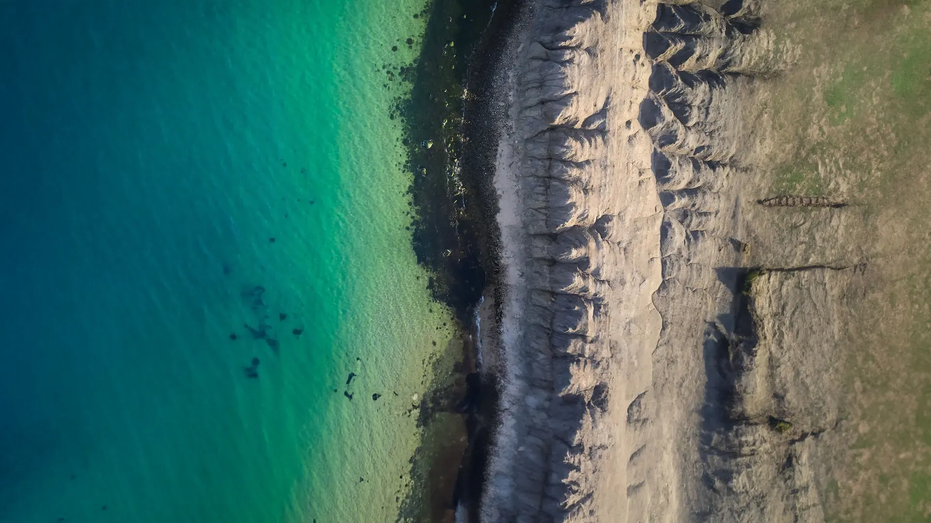 Media banner poster image